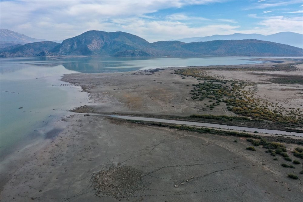 Kuş cenneti Bafa Gölü'nde korkutan görüntü - 28