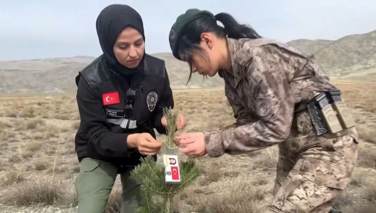 Kadın polisler, şehit kadın polislerin anısına fidan dikti Kadın polisler, şehit kadın polislerin anısına fidan dikti
