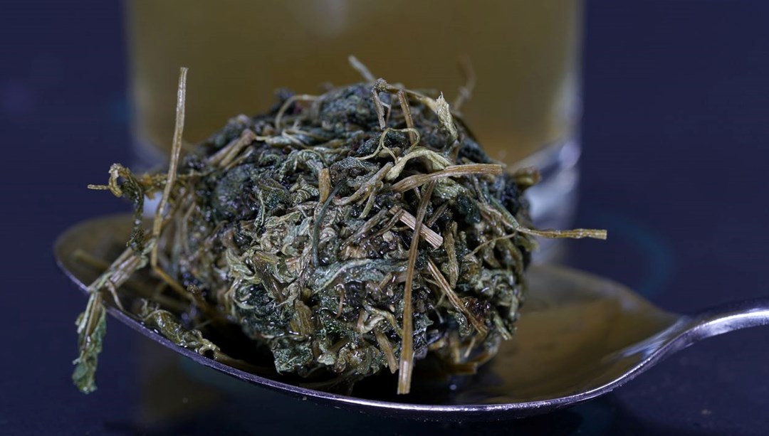 ''Ölümsüzlük otu'' olarak da biliniyor: İç hastalıkları uzmanı ısrarla tavsiye etti