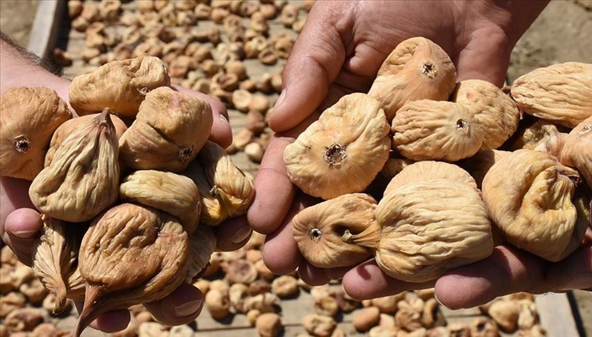 Dünyada en kalitelisi Türkiye’de yetişiyor: Sezonun ilk ürünleri tezgahtaki yerini aldı; kilosu 700 liradan satıldı Dünyada en kalitelisi Türkiye’de yetişiyor: Sezonun ilk ürünleri tezgahtaki yerini aldı; kilosu 700 liradan satıldı