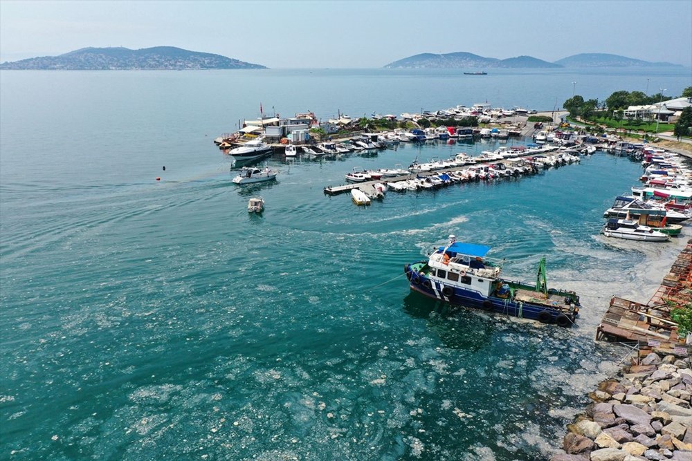 ODTÜ'den Marmara'da 'derin' inceleme - 12