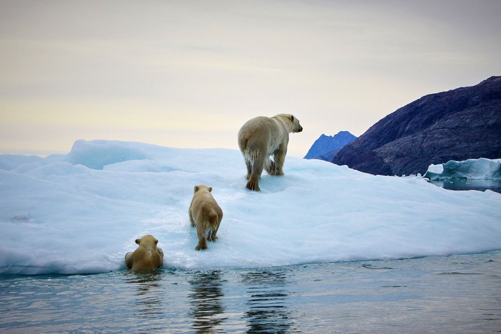Tarihin en düşük seviyesinde: Arktik deniz buzunun kalbi bu yaz tamamen eriyebilir - 8