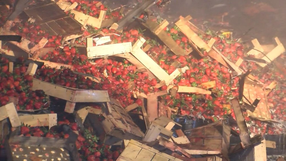 Alevler İçinde Kaybolan Tatlı Yük: Çilek TIR'ı Küllerinden Doğabilecek mi? 74 pnO9H37qgUS9EOBrTN07Aw