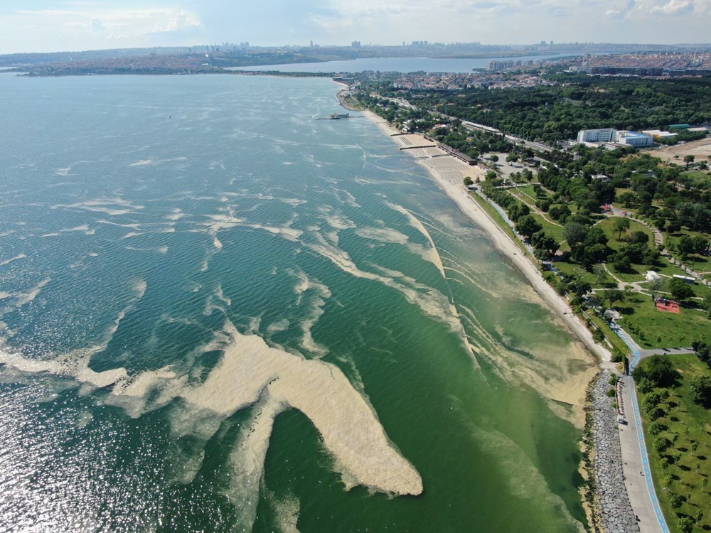 Deniz salyası bu kez Bakırköy kıyılarını sardı - 2