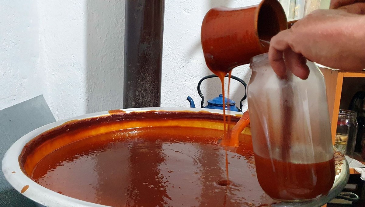 Toplamak için dağlara akın ettiler: 100 gramında 1 kase portakaldan fazla C vitamini var