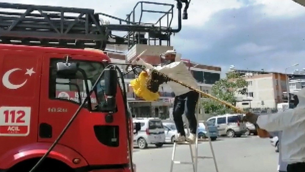 Hastanede panik: Acil servisi arılar bastı - 7