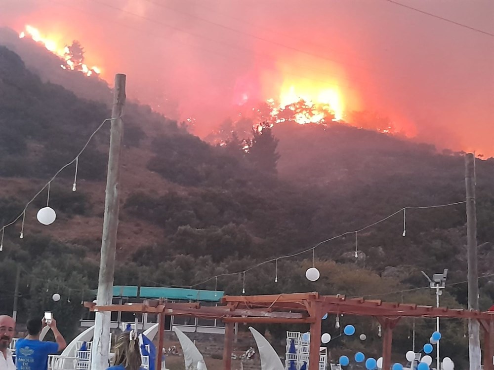 Aydın Söke'de orman yangını - 4