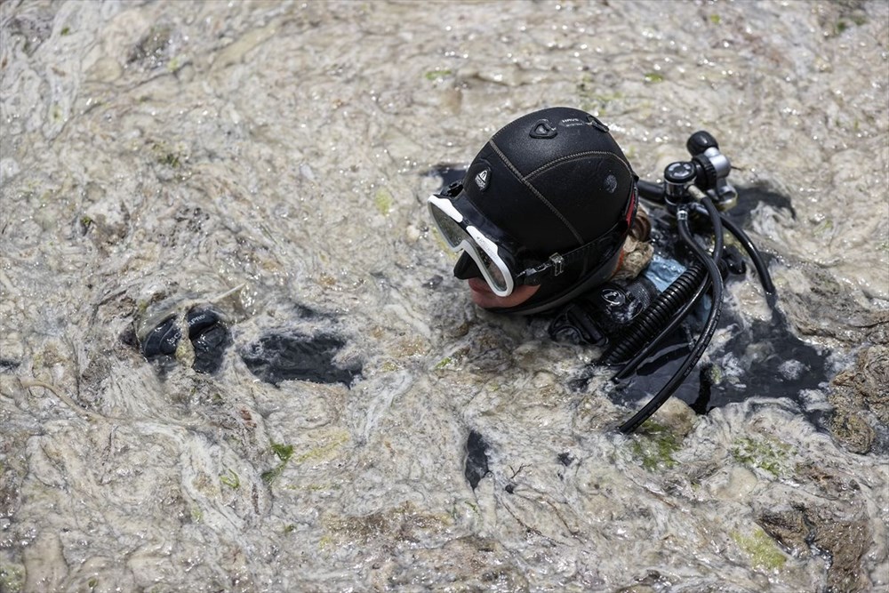 Marmara Denizi Eylem Planı: Müsilaj (Deniz salyası) temizliği başladı - 5