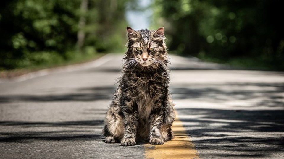 Hayvan Mezarlığı'nın (Pet Sematary) devam filmi geliyor - 1