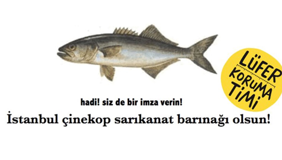 'Denizlerimize sırtınızı dönmeyin'
