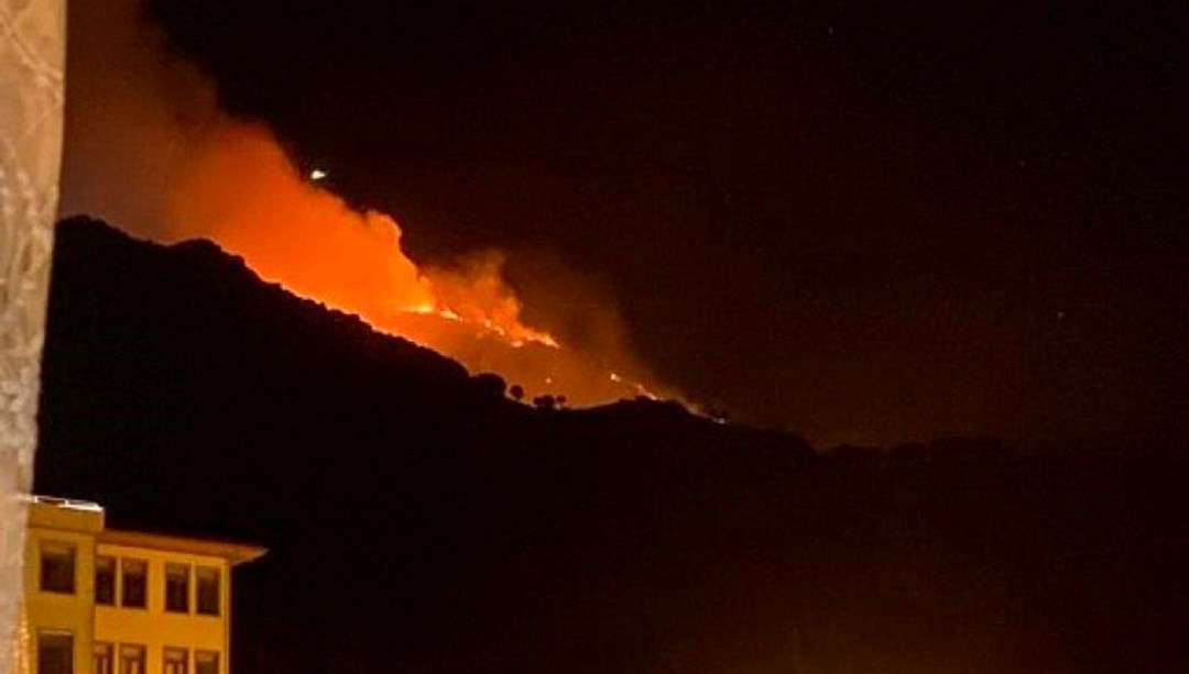 Balıkesir Marmara Adası'nda orman yangını