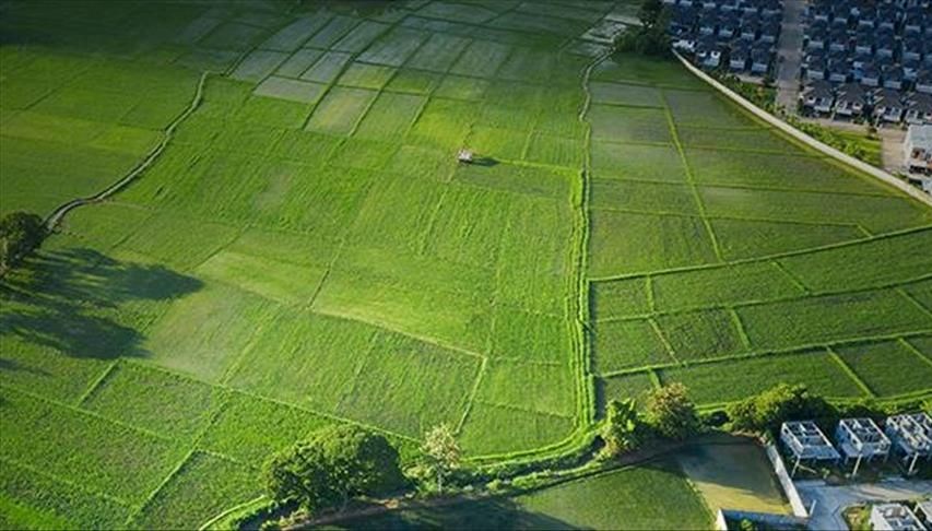 895 milyon liralık arsa ihalesi