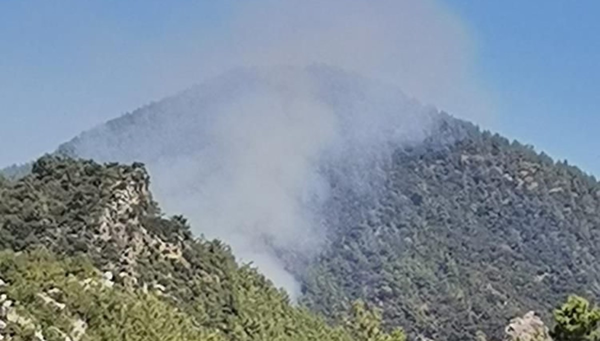 Adana ve Muğla’da orman yangını