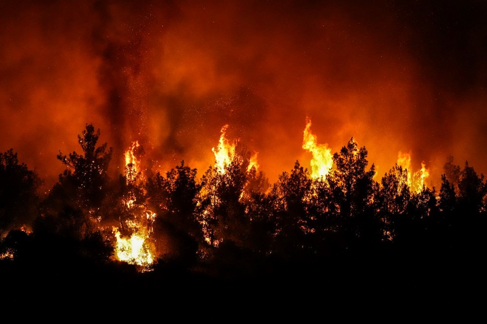 İzmir'in Selçuk ve Menderes ilçelerinde yangın: Ekiplerin müdahalesi sürüyor - 2