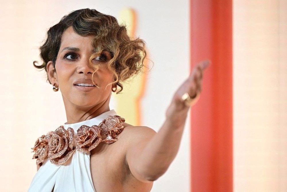 Halle Berry oğlunun velayetini almak için harekete geçti - 1