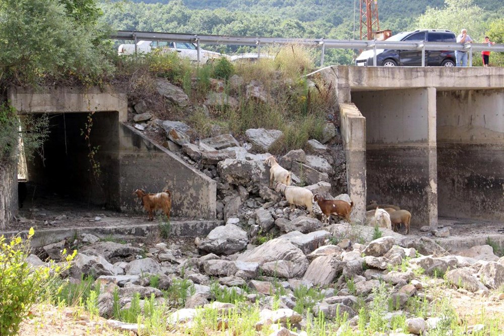 İstanbul'un su ihtiyacını karşılayan Trakya'daki barajlar kurudu - 14