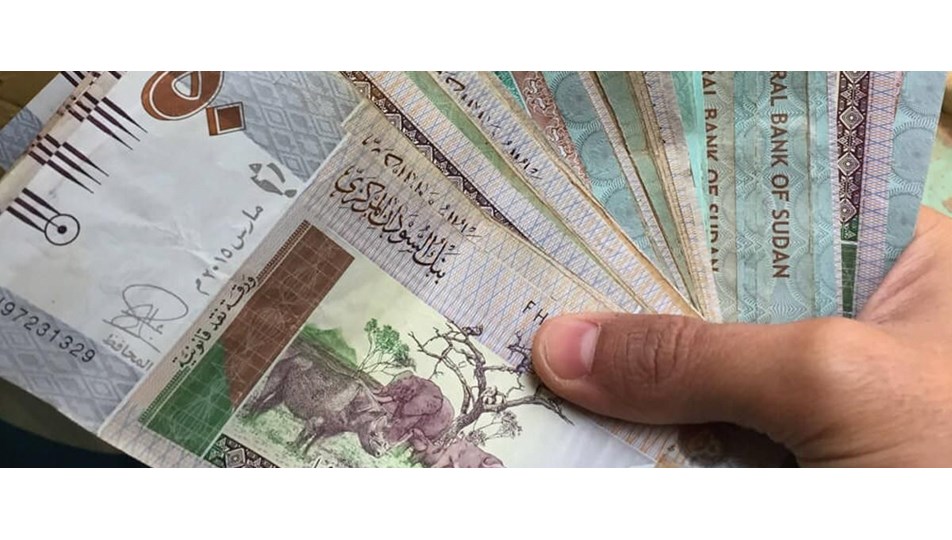 BAE'den Sudan Merkez Bankasına 250 milyon dolarlık destek