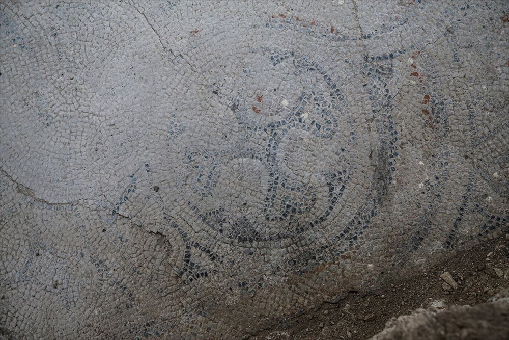 Tarihi mozaikler koruma altına alındı - 7