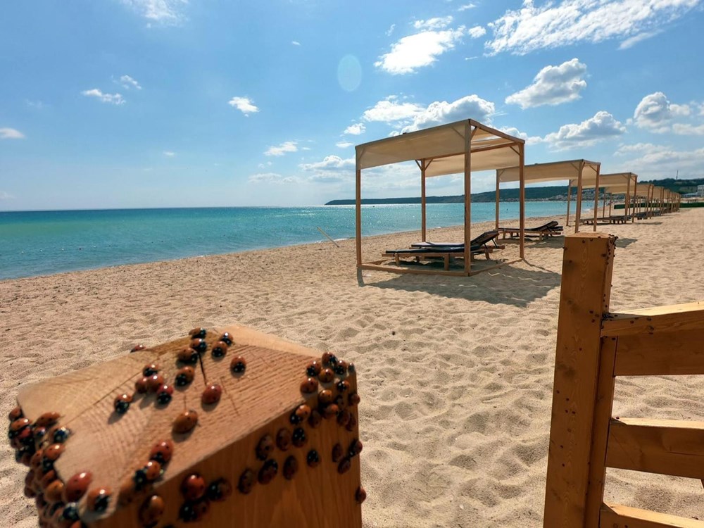 Saros Körfezi'nde uğur böceği istilası - 1