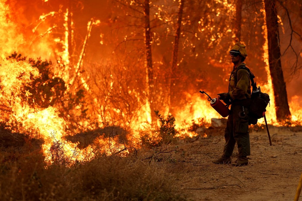 California'da orman yangını: 11 bini aşkın kişi tahliye edildi - 9