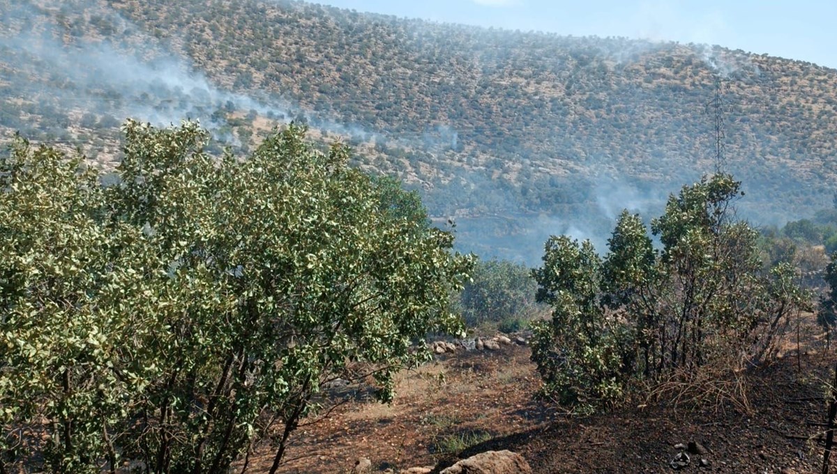 Nusaybin'de korkutan yangın: Bahçede başladı, ormana sıçradı Nusaybin'de korkutan yangın: Bahçede başladı, ormana sıçradı