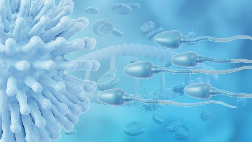 Araştırma: BioNTech - Pfizer aşısı spermlere zarar vermiyor - 1