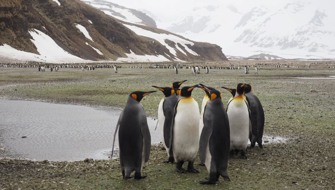 Mersin'de doğup büyüdü: Şimdi yeryüzünün en soğuk ikliminde fotoğrafçılık yapıyor