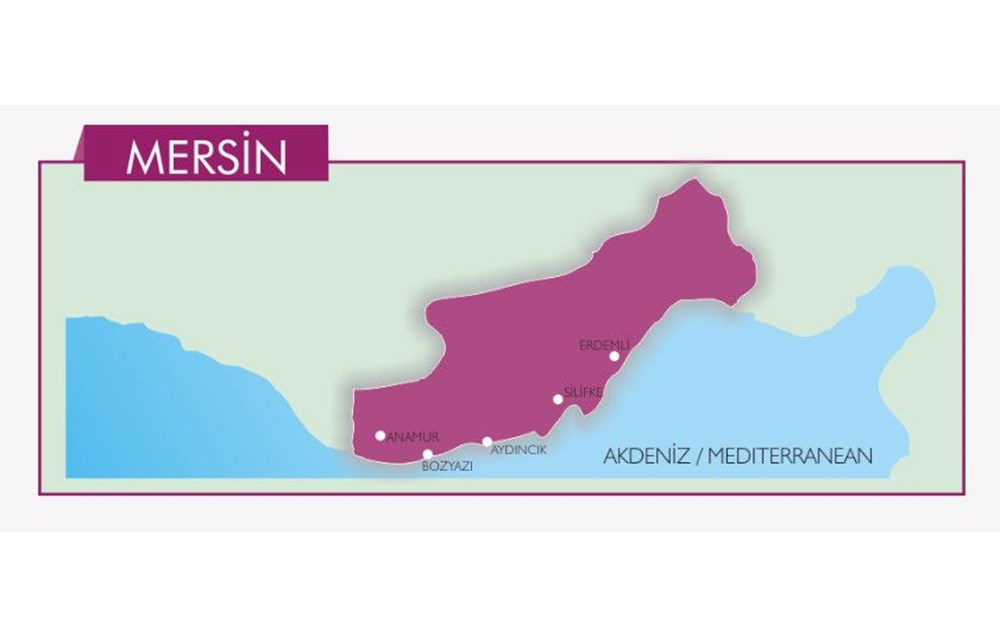 Türkiye'nin mavi bayraklı plajları: 2024 yılı güncel listesi (En iyi sahiller ve plajlar) - 62