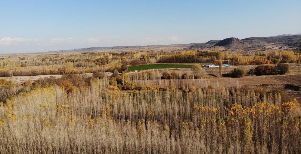 Hz. Adem ve Havva'nın yaşadığına inanılan İrem Bağları'na ziyaretçi akını - 8