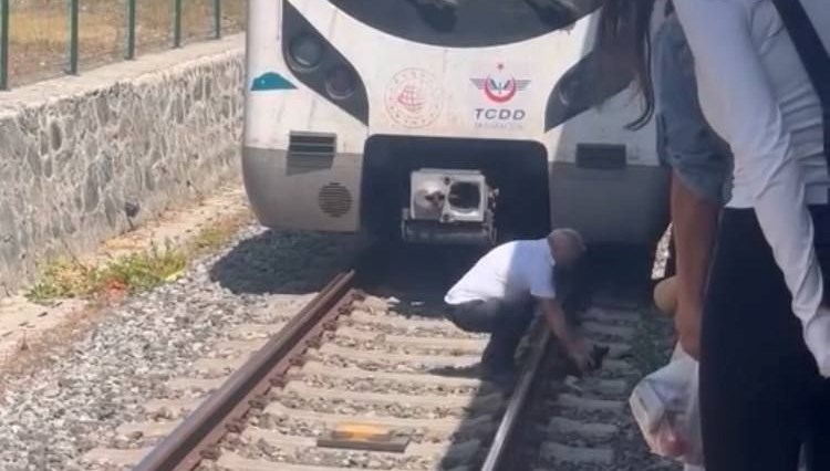 Kediyi gördü, Marmaray'ı durdurdu