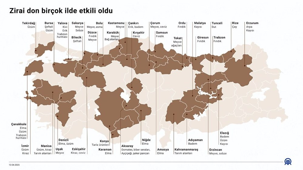 Zirai don haritası: Zirai don nedir, neden, kaç derecede olur? 76 qAp46Lf EEK UWhSbSBpaA