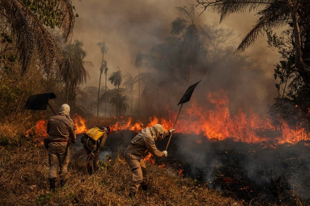 Yılın en çarpıcı fotoğrafları seçildi (World Press Photo Awards 2021) - 10