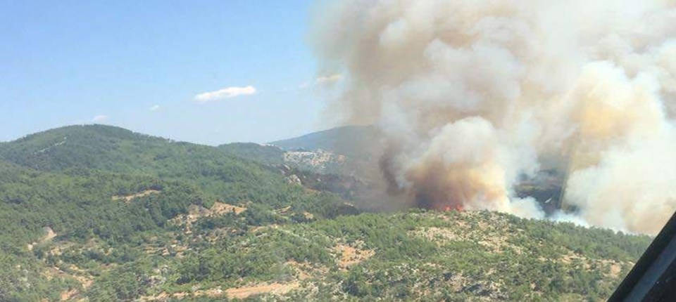 Muğla'da orman yangını - 2