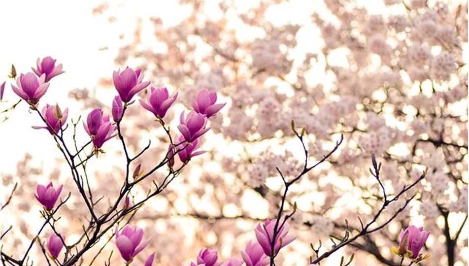 İkinci cemre ne zaman düşecek? 2025 cemrenin suya düşme tarihi