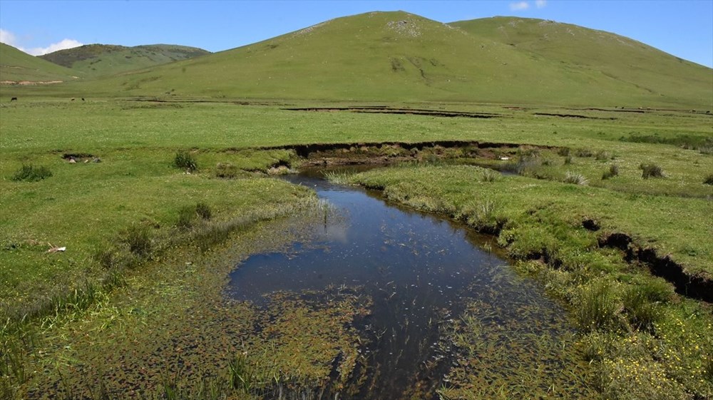 Karadeniz'in menderesleriyle ünlü Perşembe Yaylası doğaseverleri ağırlıyor - 5