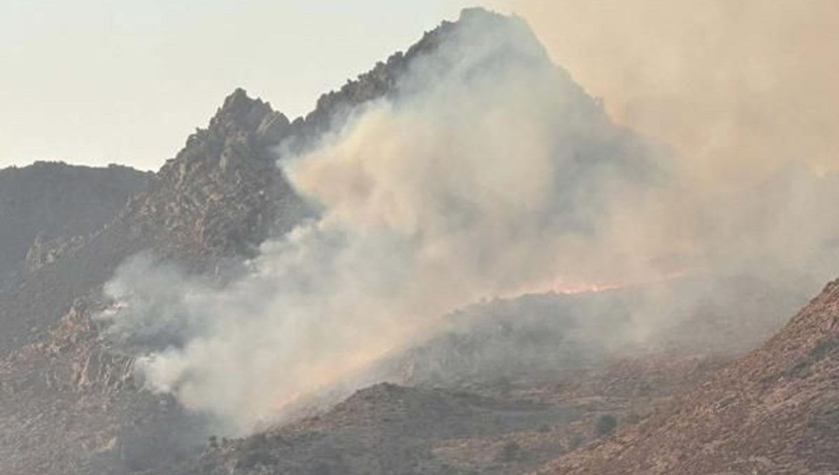 Bodrum'da maki yangını: Ekipler bölgede