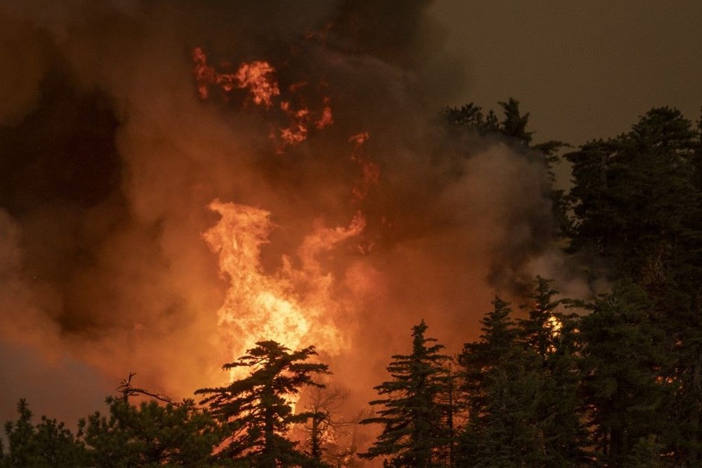 ABD'deki orman yangınlarında ölü sayısı 33'e çıktı - 6