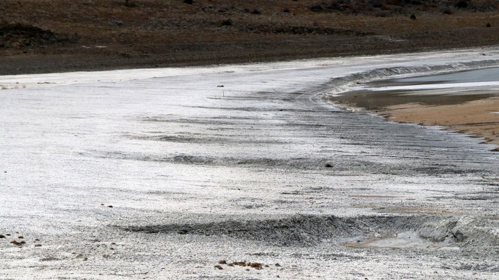 Salda Gölü'nde doğa kendini yeniledi, çamur çukurları kapanmaya başladı - 8