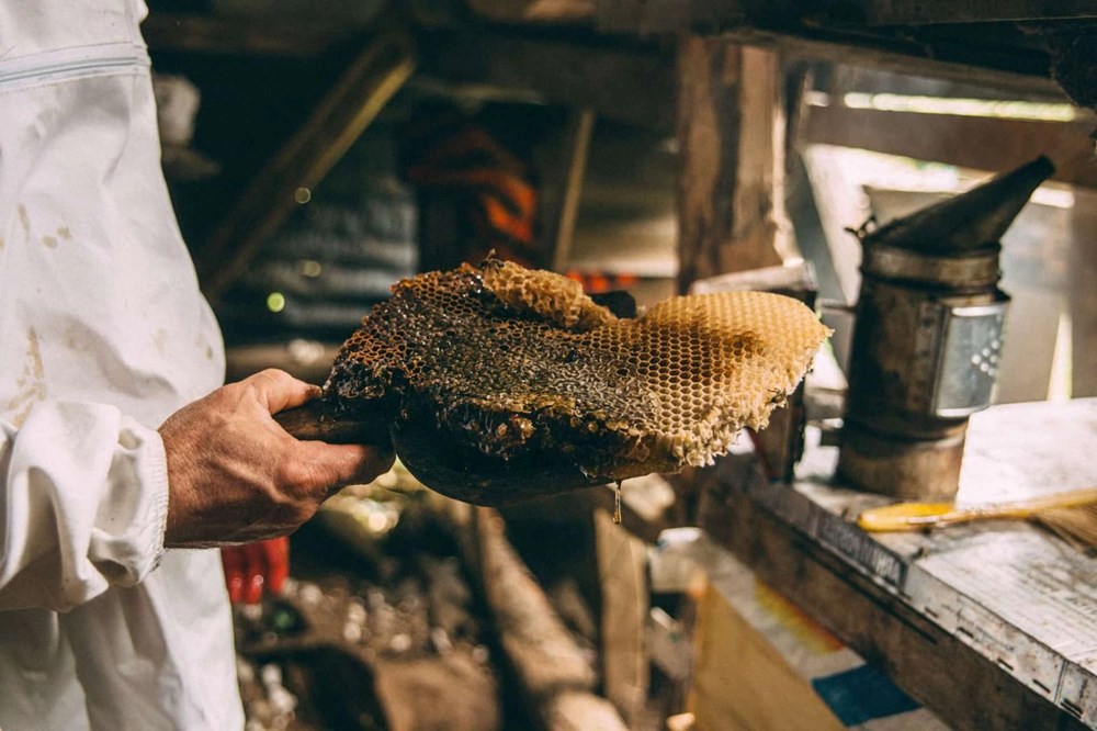 Türk balı Harrods'ta satışta: 150 gramı 57 bin lira - 4