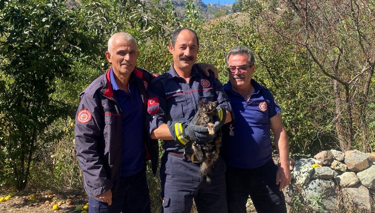 Kafasını kutuya sıkıştıran kedinin imdadına itfaiye ekipleri yetişti