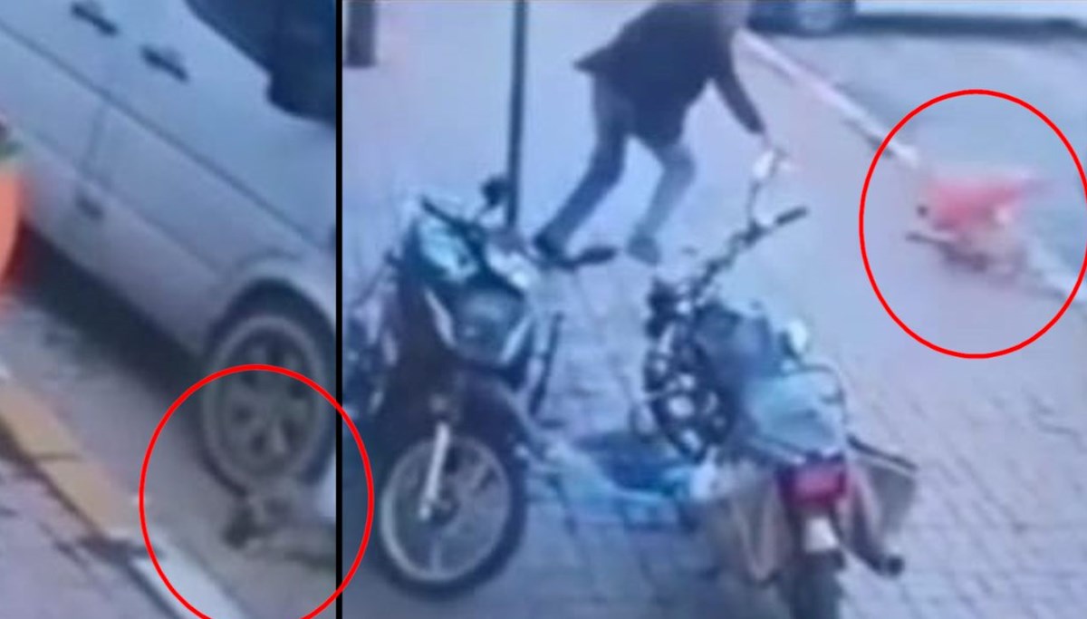 Ezilmekten kurtulan köpeğe trafik dubası ile saldırdı