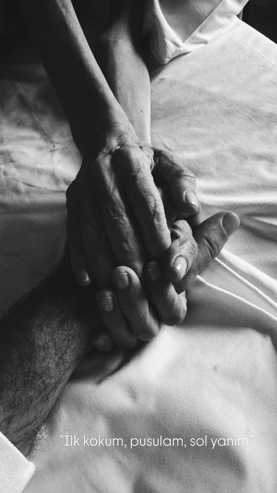 qJ3g8JjZ2UScRyOWtCABdQ