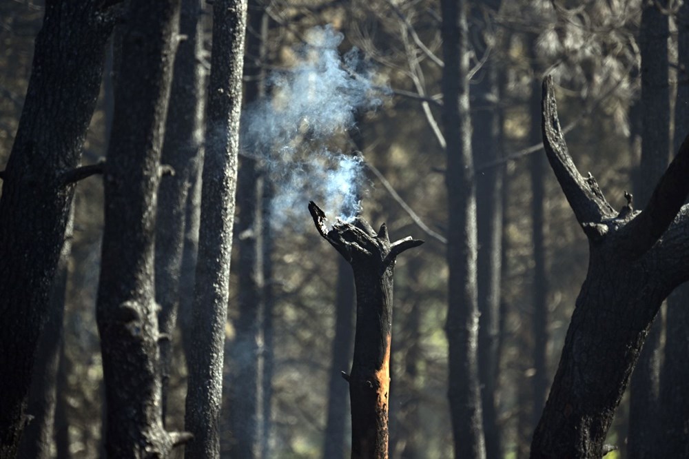 İstanbul Maltepe'de orman yangını - 20