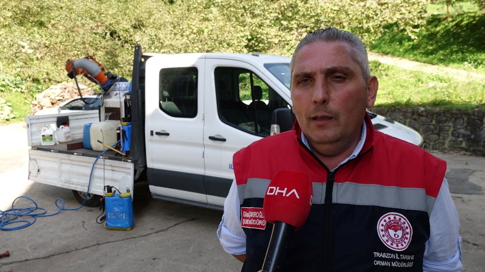 Trabzon'da kahverengi kokarca böceği istilası | Uzmanlar uyardı: Sakın elinizi sürmeyin - 5