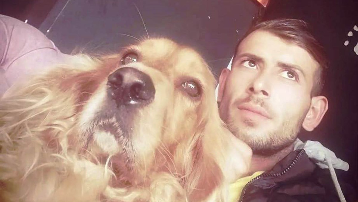 Restorandaki köpek kavgası ölümle bitti