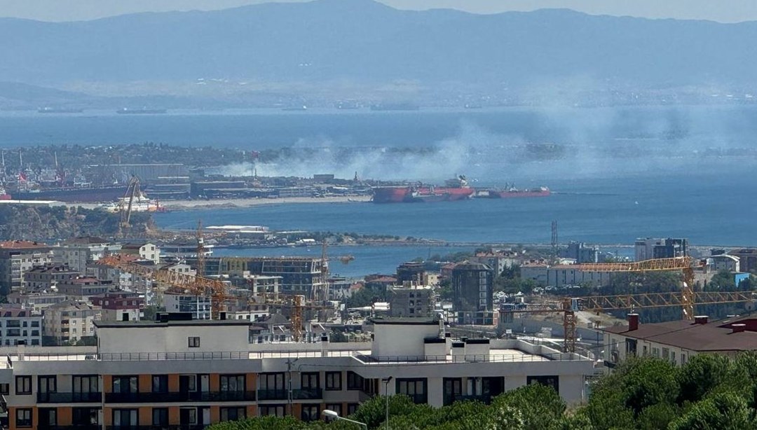 Tuzla'da ağaçlık alanda yangın