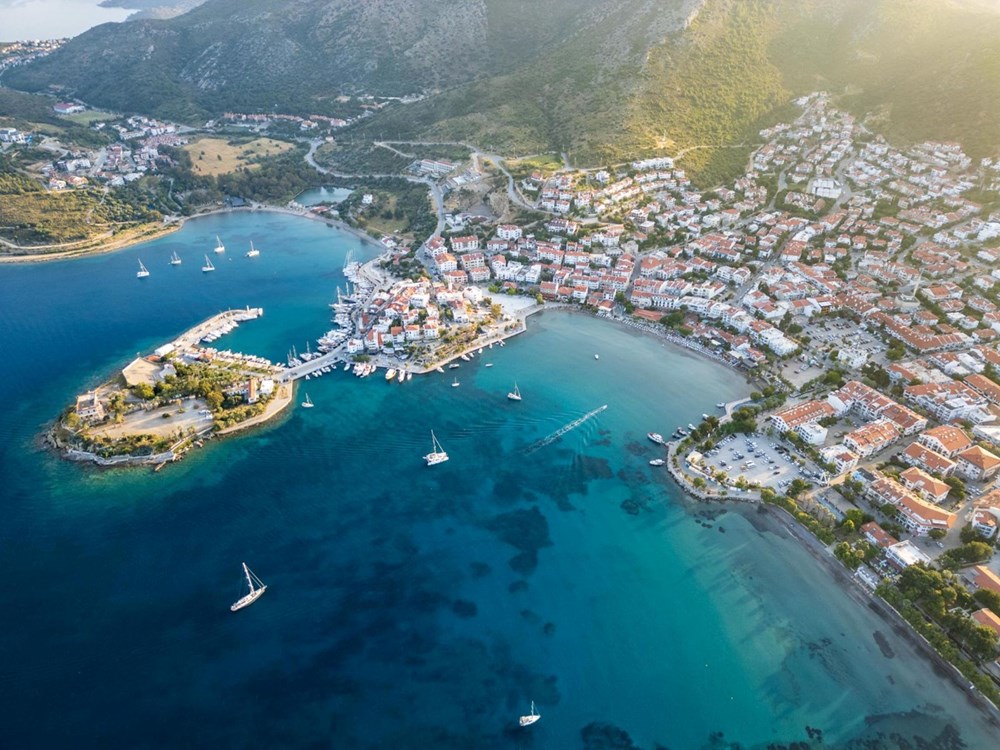 Bir ilçe karantinaya alındı: Mavi dil hastalığı - 3