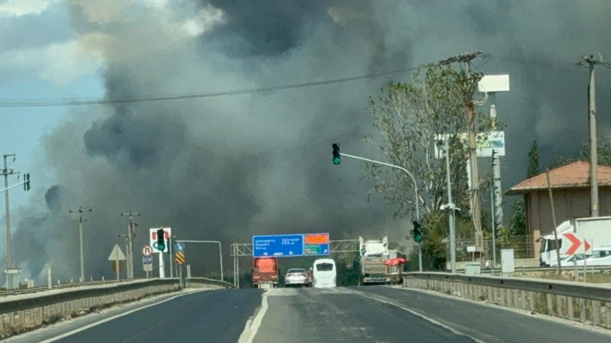 Tekirdağ'da otluk alanda yangın