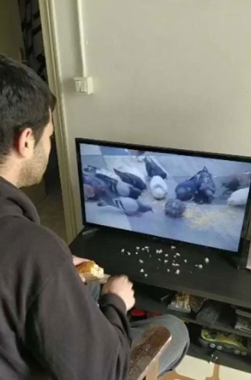 Karantina Günlerinde Evde Sıkılan İnsanlardan Yaratıcı Eğlenme Yöntemleri 7 qNZ62E3jnki 4GLs38da1A