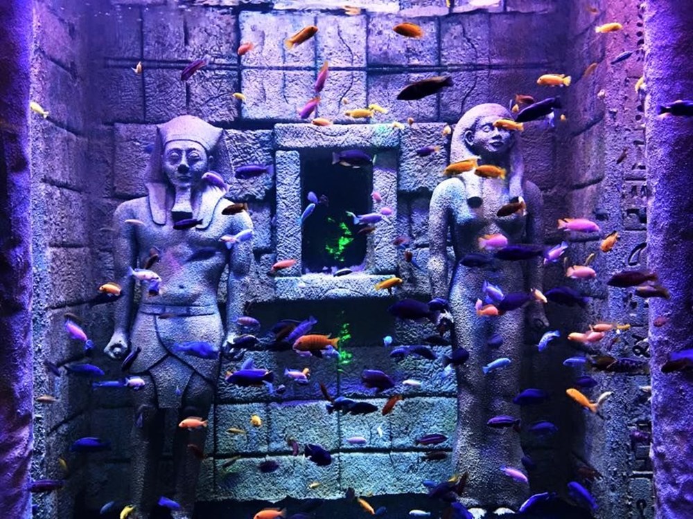 İstanbul sömestr yapılacak şeyler, istanbul'da sömestr, sömestr'da gezilecek yerler